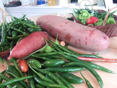 An abundance of peppers & sweet potatoes